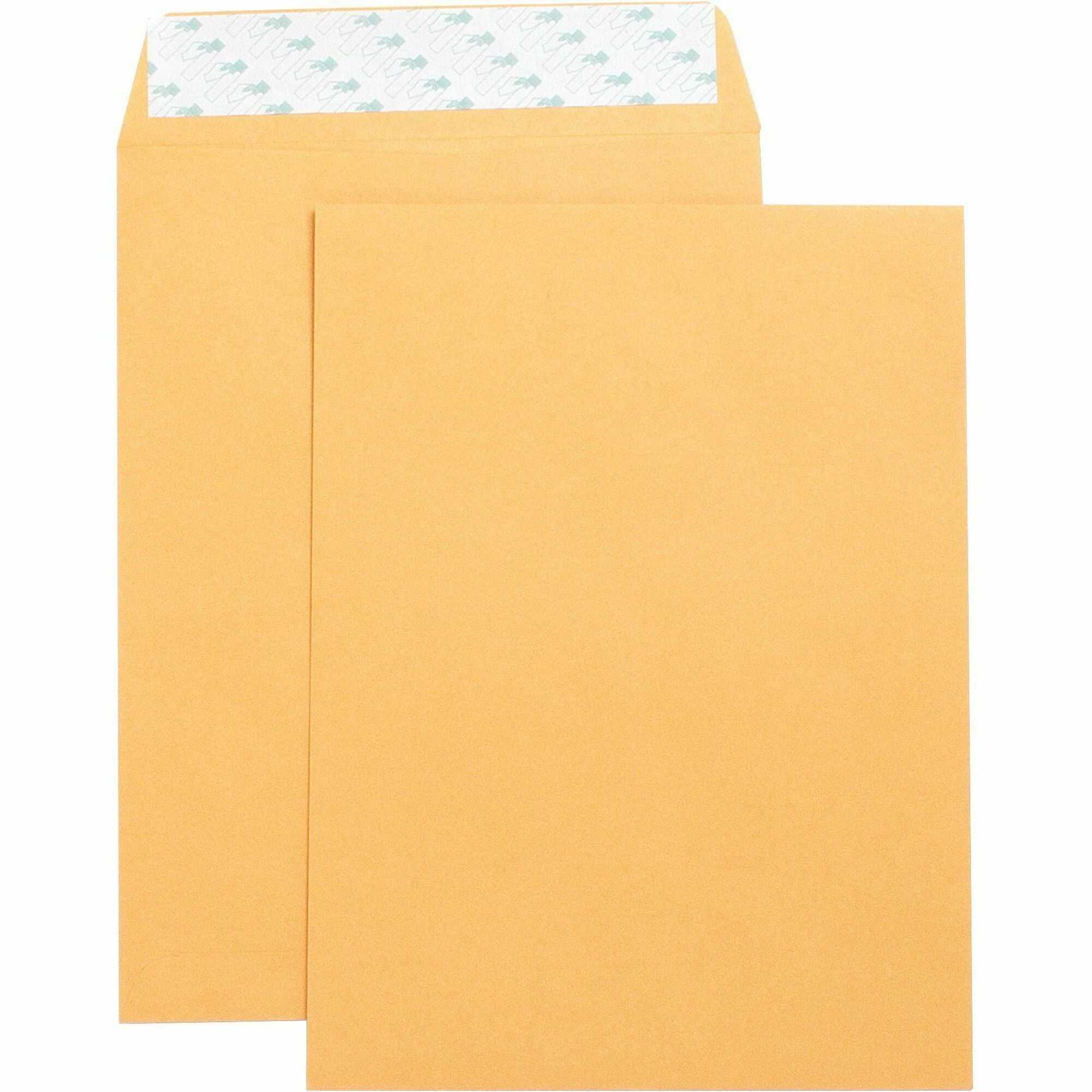 Business Source Self Adhesive Kraft Catalog Envelopes - 250ct