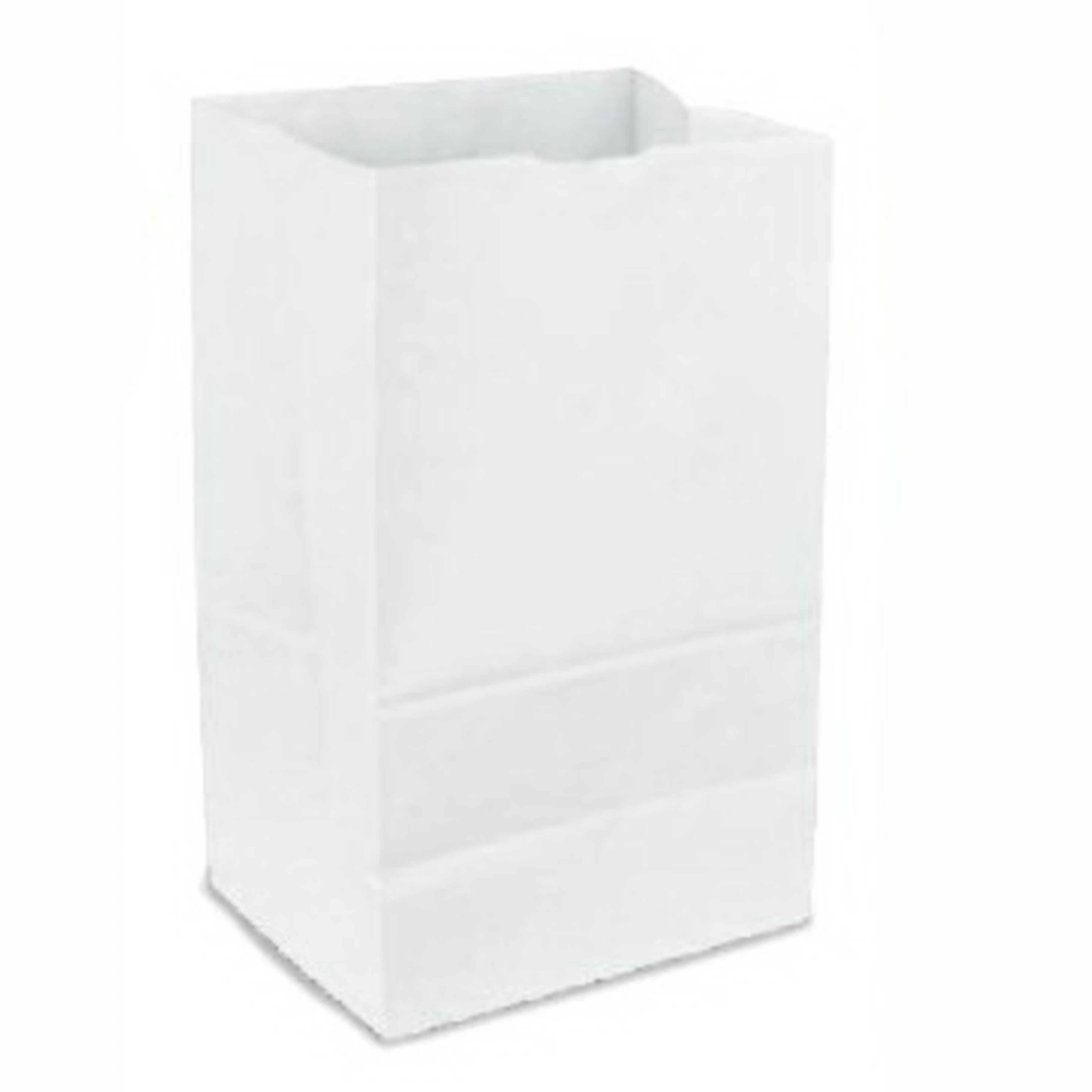 2 Lb White Grocery Bag 30# Paper - 500ct