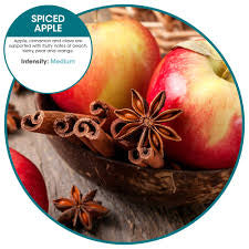 Ourfresh Refill Spiced Apple