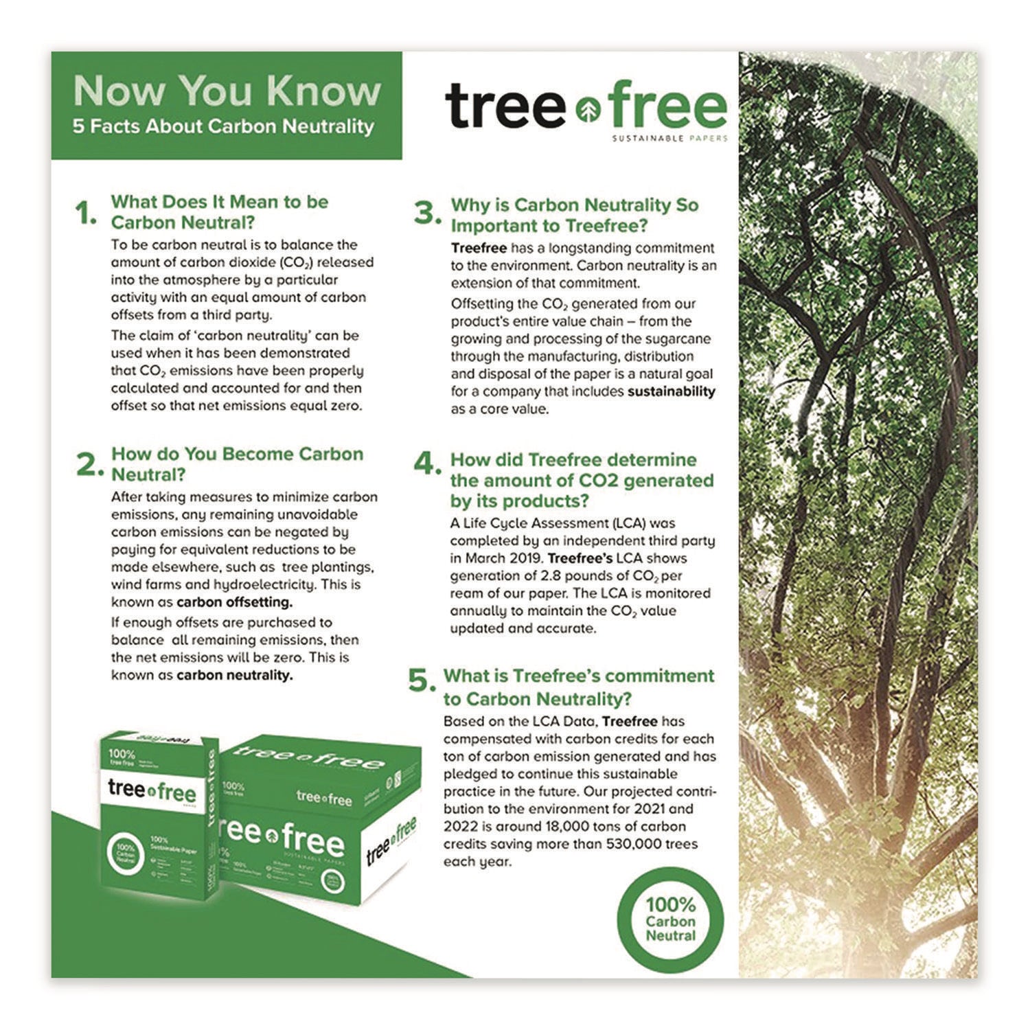 TreeFree® Multipurpose Copy Paper – 20 lb, 92 Brightness (8.5” x 11”) - 5000 Sheets